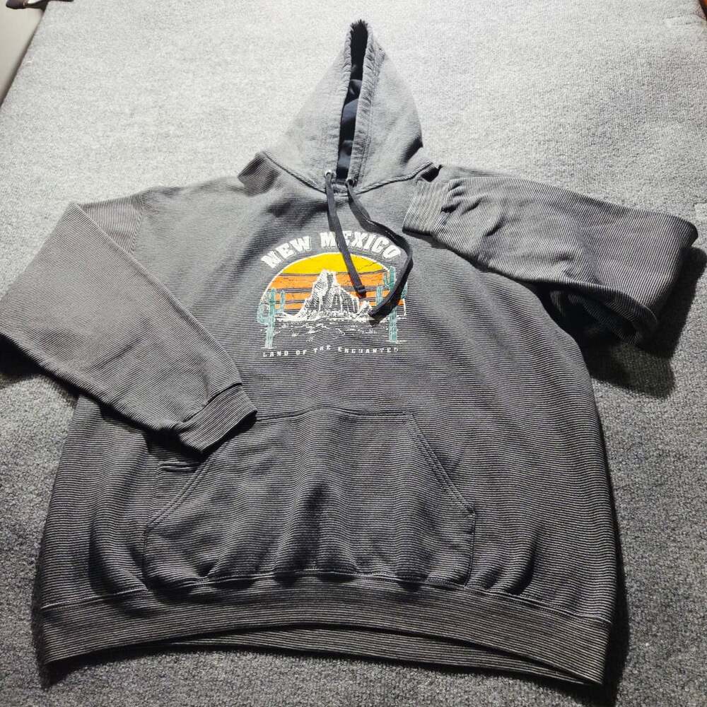 New Mexico Land of Enchantment Striped Hoodie Gray Large